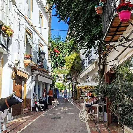 Centro Con Piscina * Marbella
